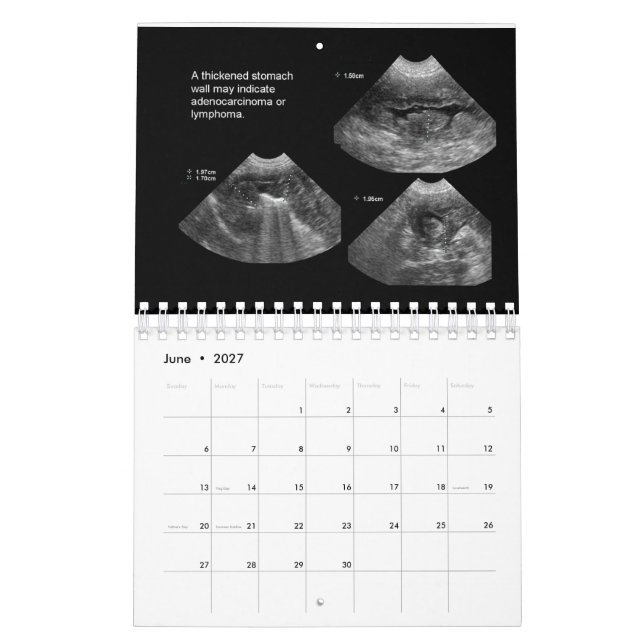 Veterinary Ultrasound Calendar Kalender (Jun 2027)