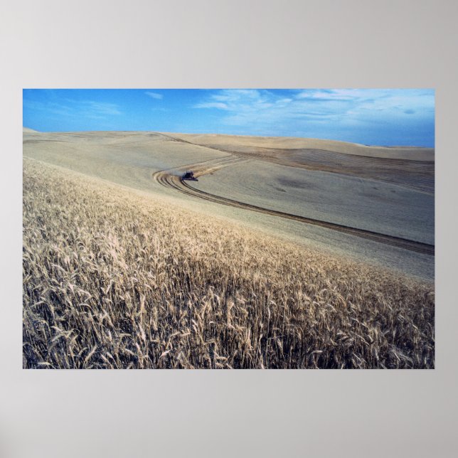 Veteskörd Poster (Framsidan)