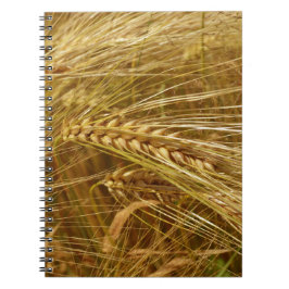 Vetet fält. Det är Harvest Time! Anteckningsbok