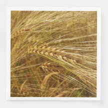 Vetet fält. Det är Harvest Time!