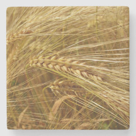 Vetet fält. Det är Harvest Time! Stenunderlägg