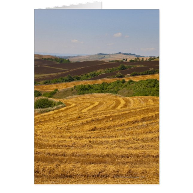 Vetet fält efter skörd hälsningskort (Framsidan)