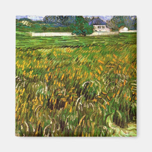 Vetet Fält i Auvers av Vincent van Gogh Magnet