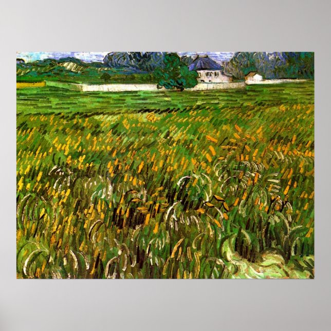 Vetet Fält i Auvers av Vincent van Gogh Poster (Framsidan)