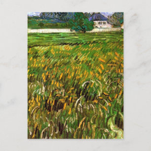 Vetet Fält i Auvers av Vincent van Gogh Vykort