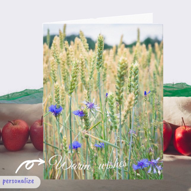 Vetet fält med blåkornblommor kort (Skapare uppladdad)