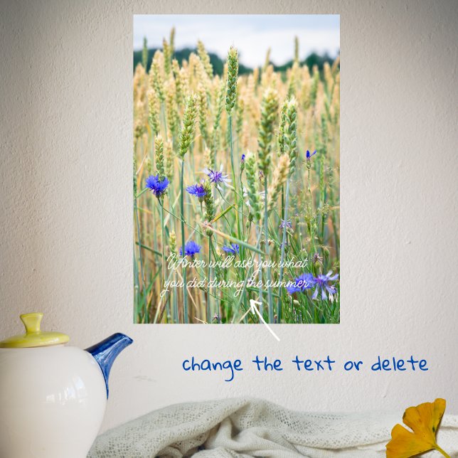 Vetet fält med blåkornblommor poster (Skapare uppladdad)