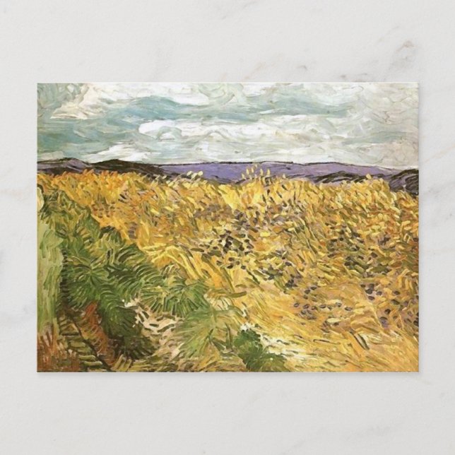 Vetet Fält med Cornblommor Van Gogh Fine Art Vykort (Framsida)