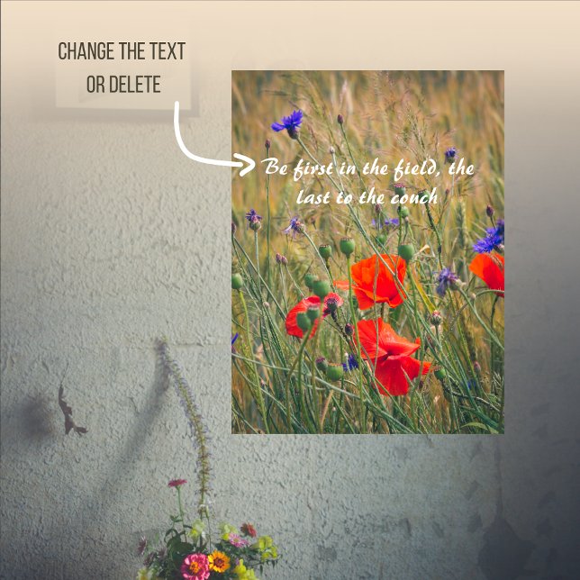 Vetet fält med vallmo och kornblommor poster (Skapare uppladdad)