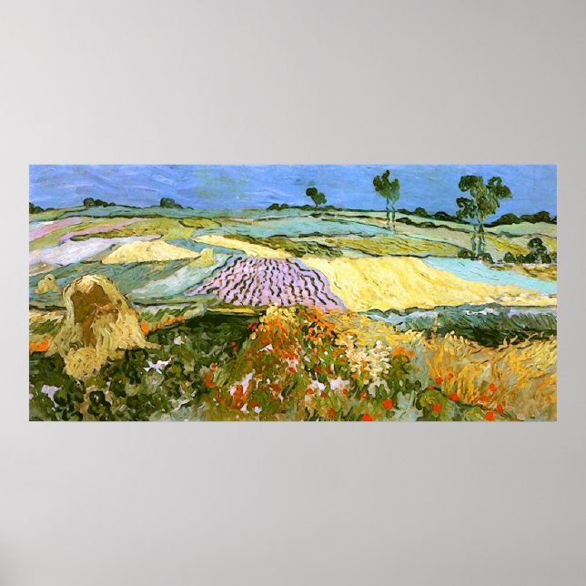 Vetet Fält nära Auvers Van Gogh Fine Art Poster (Framsidan)