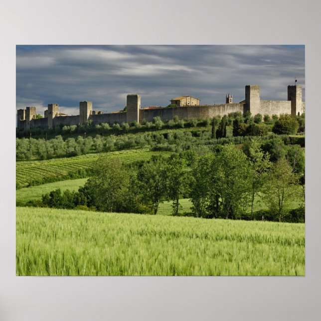 Vetet fält och avlägsna Monteriggioni i Poster (Framsidan)