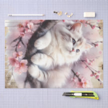 Vevpapper