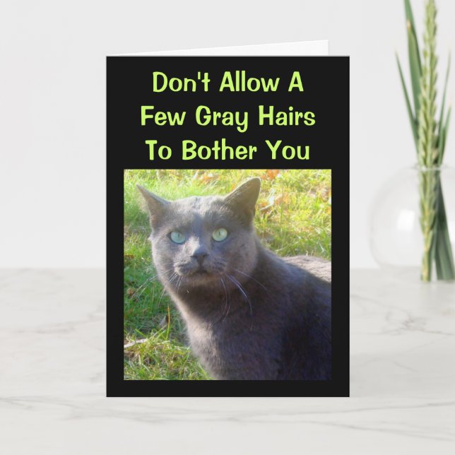 Vevy Cat Humous Birthday Card Kort (Framsida)