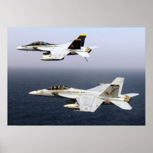 VF-32 Swordsmen F-14 Poster
