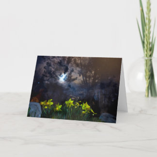 Vi äger natten kort