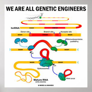 Vi är alla genetisk Ingenjör (gendelning) Poster