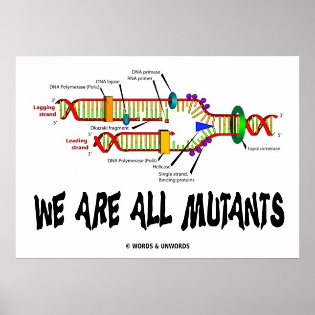 Vi är alla mutanter (DNA-replikering) Poster (Framsidan)