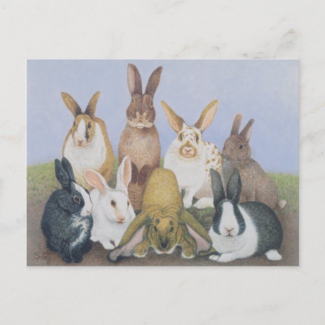 Vi är alla Öron Vykort (Framsida)