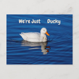 Vi är bara Ducky Vykort