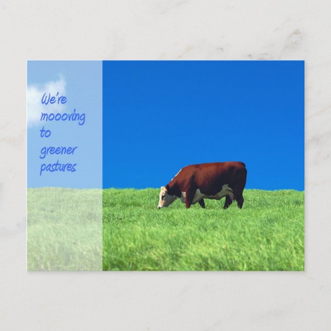 Vi är Flytta annons Meddelande Vykort (Framsida)