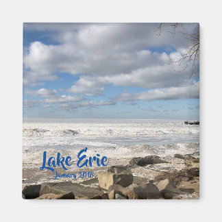 Vi är frysta! magnet