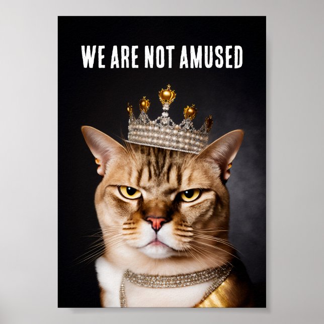 Vi är inte förtjusta i Royalet, i ett Krona Poster (Framsidan)