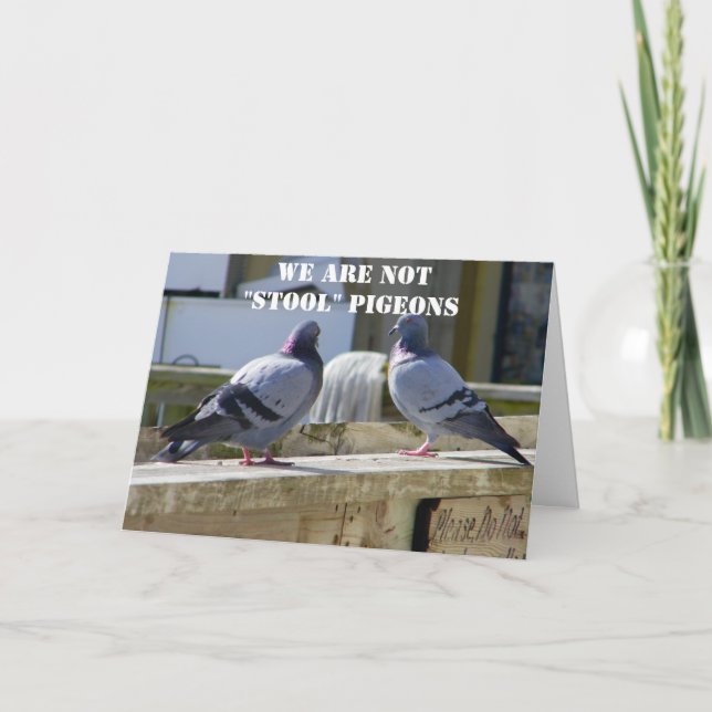 VI ÄR INTE STOOLA PIGEONER KORT (Framsida)