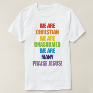 VI ÄR KRISTNA OSS ÄR MÅNGA T SHIRT