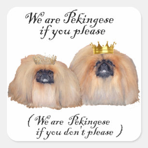 Vi är Pekingeser Fyrkantigt Klistermärke