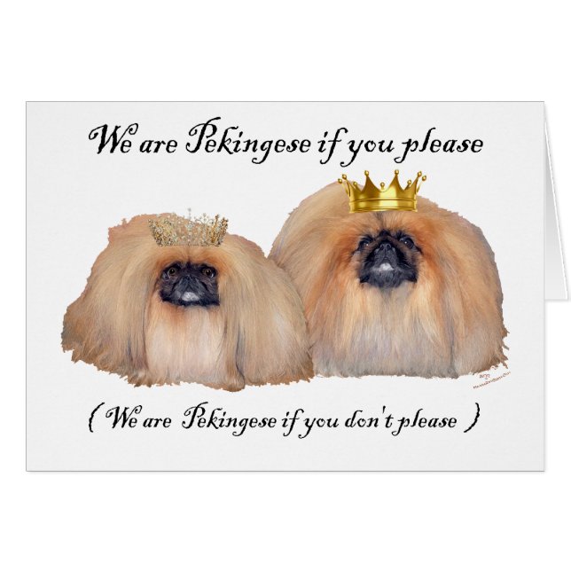 Vi är Pekingeser Hälsningskort (Framsidan Horizontal)