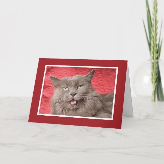Vi är Purrfect för skräddarsy Eachother - Helgkort (Framsida)