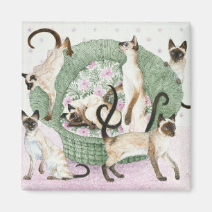 Vi är Siamese, om du behar Magnet