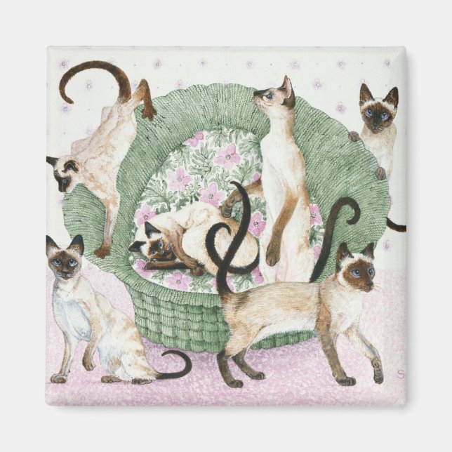 Vi är siameser om ni är snälla magnet (Framsidan)