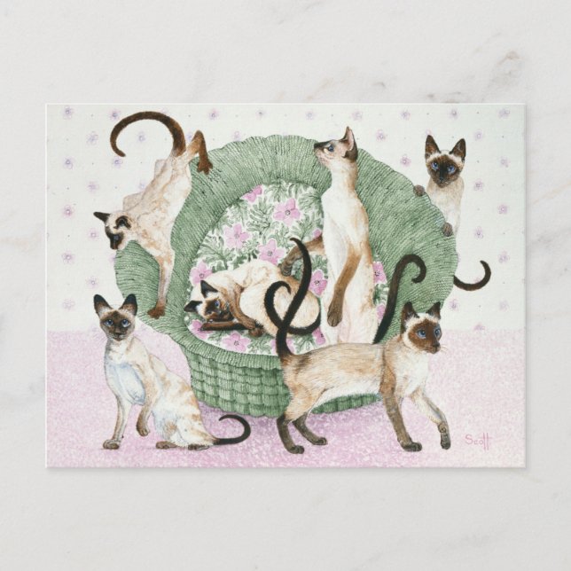 Vi är siameser om ni är snälla vykort (Framsida)