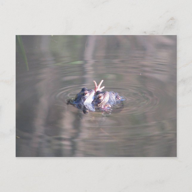 Vi är tre i den här förbindelsen vykort (Framsida)