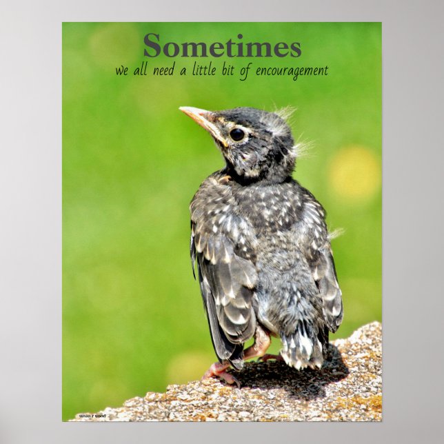 Vi behöver alla uppmuntringsklassen Poster (Framsidan)