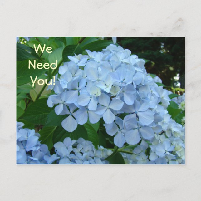 Vi behöver dig, vykort blir involverade idag! (Framsida)