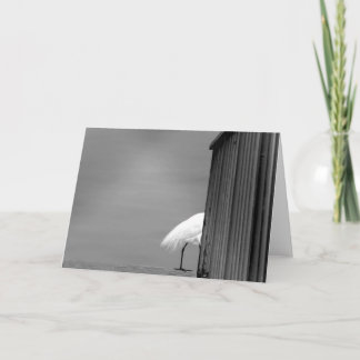 Vi beklagar att du går kort