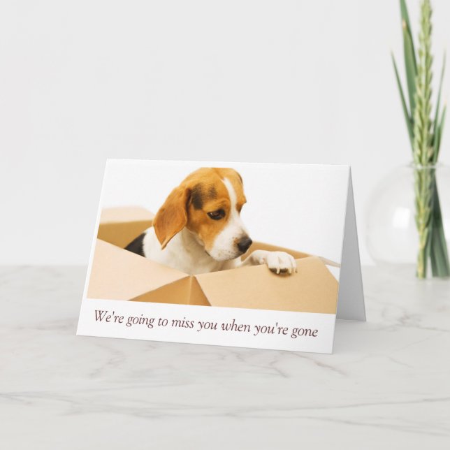 Vi beklagar att du går på kortet kort (Framsida)