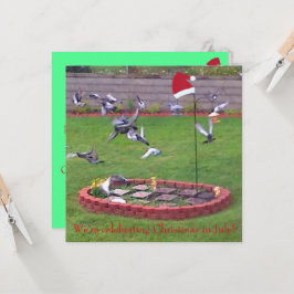 Vi firar jul i juli, fåglar inbjudan