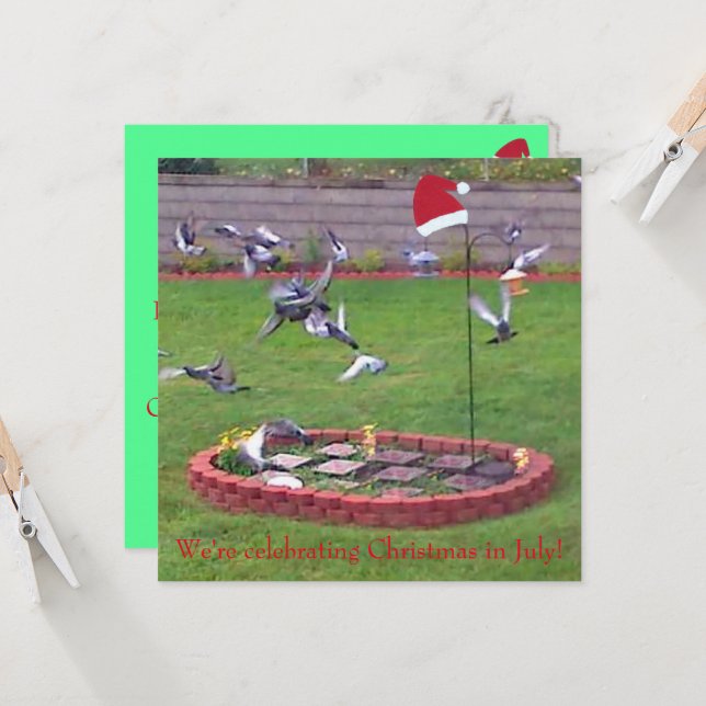 Vi firar jul i juli, fåglar inbjudan (Fram/Back In Situ)