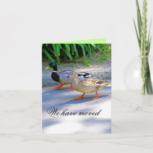 Vi flyttat! _, meddelande (Framsida)