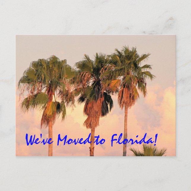 Vi Flyttat till Florida Post Card Meddelande Vykort (Framsida)