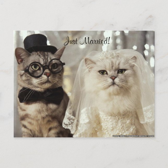 Vi Gjorde Det Just Nu! Meddelande Vykort (Framsida)