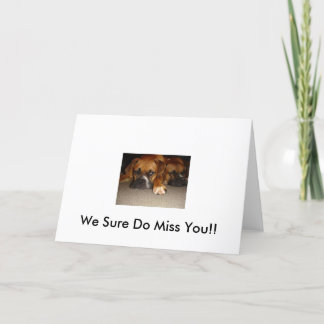 Vi gör Sure Fröcken dig!! Kort