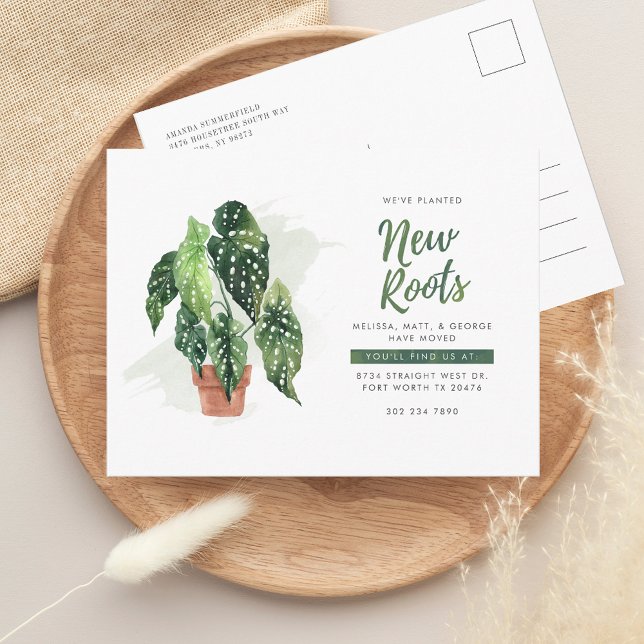 Vi Har Bytt Adress Flytt Meddelande Vykort (New Roots Change of Address Watercolor Potted Plant Moving Announcement Postcard)