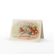 Vi har en liten Garden Guinea-Hälsning