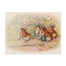 Vi har en liten Garden Guinea-Sång