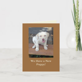 Vi har en ny anpassade för valphundmeddelande meddelande