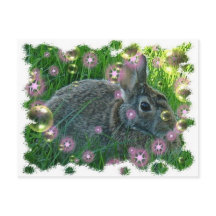 Vi har en Party Bunny